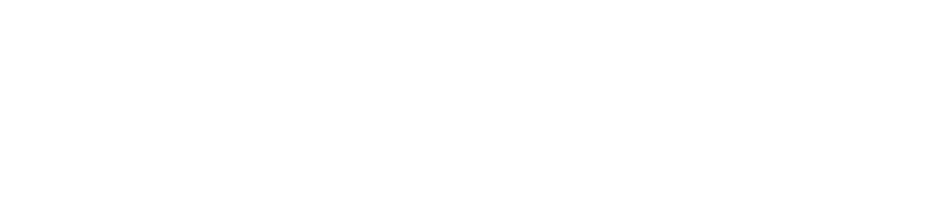 italian disco logo