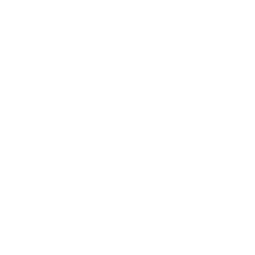 Black Flag Brewing Co. - Social House